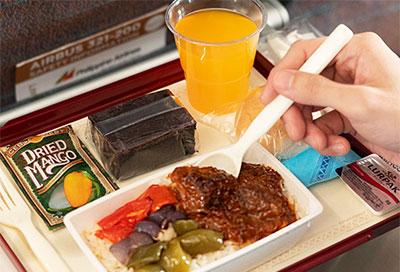 フィリピン航空B737機体イメージ