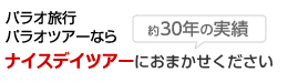 パラオ旅行・パラオツアーはナイスデイツアーにおまかせください
