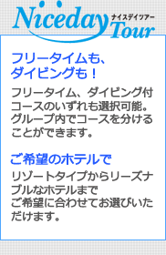 ナイスデイツアーだから