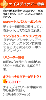 ナイスデイツアー特典がいっぱい