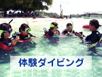体験ダイビング